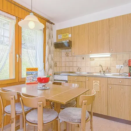 Amedee I Apartment Saas-Fee